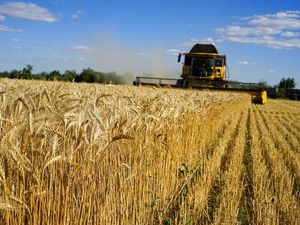 Rudal Rusia Hantam Odesa, Ukraina Harap Bisa Tetap Ekspor Gandum cs