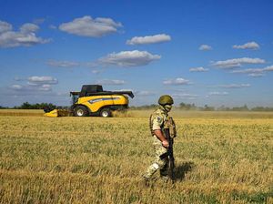 Rusia & Ukraina Dikabarkan Sepakat Buka Blokir Pelabuhan demi Ekspor Gandum