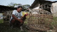 Melihat Lagi Urat Nadi Pantura yang Putus Dilibas Tol Cipali
