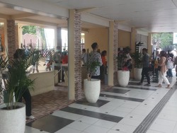 Weekend Libur Sekolah Berakhir, Pengunjung KBS Turun