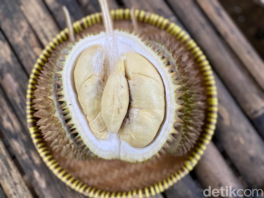 Ada Durian Sapi hingga Durian Bambang yang Manis Creamy di Kang Duren Ada Durian Sapi hingga Durian Bambang yang Manis Creamy di Kang Duren
