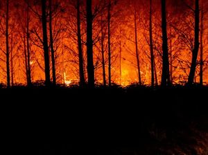 Kebakaran Hutan di Prancis Kian Meluas, Ribuan Orang Mengungsi Kebakaran Hutan di Prancis Kian Meluas, Ribuan Orang Mengungsi