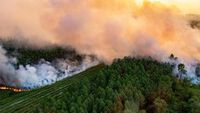 Potret Kebakaran Hutan di Prancis dari Atas