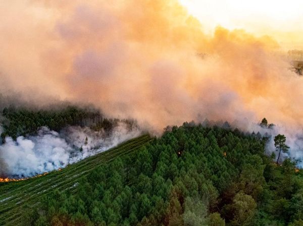 Potret Kebakaran Hutan di Prancis dari Atas