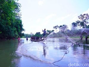 Serunya Tradisi Bongkar Lubuk Larangan di Festival Subayang Kampar Serunya Tradisi Bongkar Lubuk Larangan di Festival Subayang Kampar
