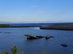 Potongan Kapal Laut Zaman Belanda Ditemukan di Lombok, Warga Geger
