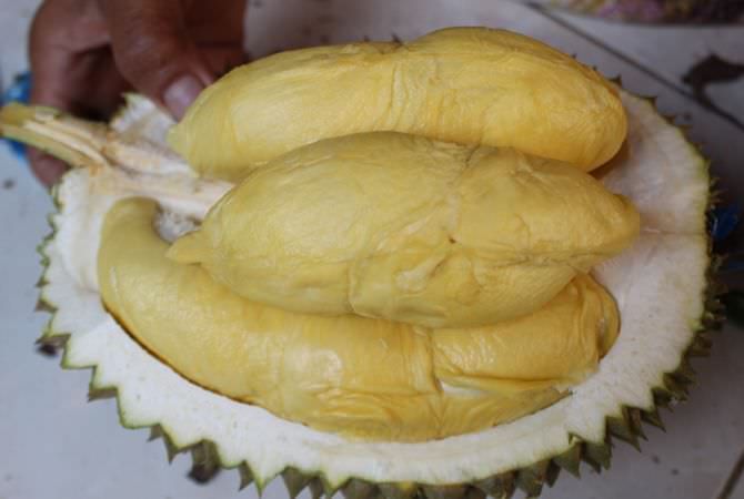 Durian jawa timur