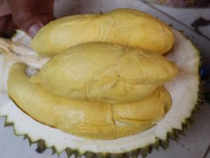 Mantap! Durian Merah hingga Durian Kanjeng yang Spesial dari Jawa Timur Mantap! Durian Merah hingga Durian Kanjeng yang Spesial dari Jawa Timur