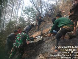 Kebakaran Hutan di Taput Menelan Korban Jiwa
