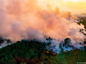 Kebakaran Hutan di Prancis-Spanyol Meluas, Ribuan Orang Dievakuasi Kebakaran Hutan di Prancis-Spanyol Meluas, Ribuan Orang Dievakuasi