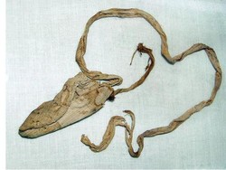 Peneliti Temukan Kondom di Makam Firaun, Apa Fungsinya?