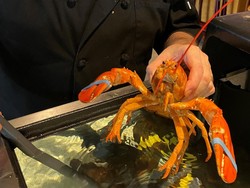 Udang Telur Asin Zonk hingga Lobster Oranye Super Langka