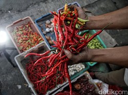 Harga Cabai Rawit-Merah Besar di Denpasar Hari Ini Masih Tinggi