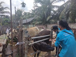 Stok Vaksin Asahan Hanya 400 Dosis, Pemkab Janji Minta Tambahan