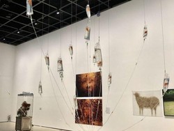 Duh... Seniman Korea Buat Karya Seni Simpan Ikan Mas dalam Plastik