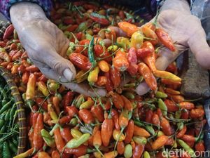 Penyebab Harga Cabai di Kabupaten Bandung Mahal