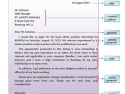 Contoh Application Letter Lengkap dengan Pengertian dan Strukturnya