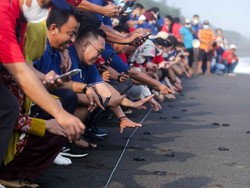Elnusa Petrofin Bersihkan Pantai & Lepas Tukik di Yogyakarta