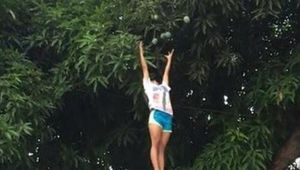 Kocak! 10 Aksi Nekat Netizen Petik Buah Bikin Tepuk Jidat