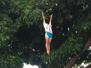 Kocak! 10 Aksi Nekat Netizen Petik Buah Bikin Tepuk Jidat Kocak! 10 Aksi Nekat Netizen Petik Buah Bikin Tepuk Jidat