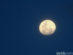 Hari Bulan Sedunia 20 Juli, Ini Sejarah Peringatannya