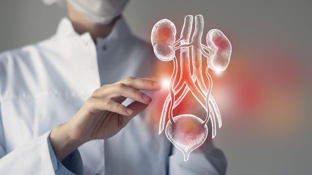 Diagnostic assessment - Urinary tract infection