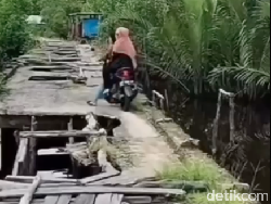 Viral Jalan Sakaratul Maut di Riau, Kades: 2 Tahun Tak Diperbaiki