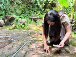 Geger Tapak Kaki Dinosaurus Berusia 100 Juta Tahun di Restoran