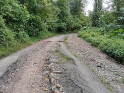 Pemprov Sulut Usul Rp 25 M Perbaikan Jalan Minsel-Mitra yang Rusak Parah