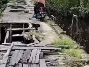 Lewat Jalan Ekstrem di Inhil Riau Ini Wajib Banyak Doa!