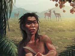 Paleolitikum, Masa saat Masyarakat Purba Hidup Nomaden