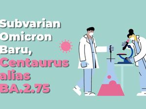Mengenal Centaurus BA.2.75, Subvarian Terbaru Omicron yang Sudah Masuk RI Mengenal Centaurus BA.2.75, Subvarian Terbaru Omicron yang Sudah Masuk RI