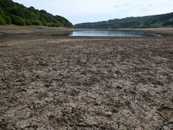 Ngeri! 1.000 Orang Tewas Akibat Gelombang Panas di Portugal