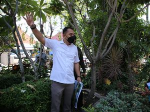 Surabaya Makin Sejuk, Pemkot Tanam 1.000 Pohon Tiap Hari