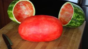 10 Tampilan Makanan Ini Sangat Sempurna, Bikin Sayang Dimakan
