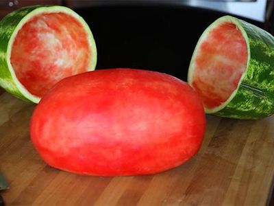 10 Tampilan Makanan Ini Sangat Sempurna, Bikin Sayang Dimakan