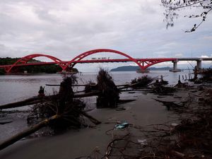 Foto-foto Abrasi Teluk Youtefa Papua