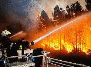 Foto-foto Ini Merekam Aksi Luar Biasa Para Pemadam Kebakaran Hutan