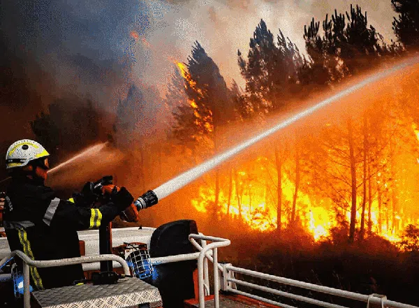 Foto-foto Ini Merekam Aksi Luar Biasa Para Pemadam Kebakaran Hutan