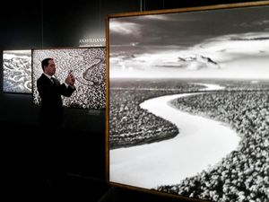 Wow, Fotografer Salgado Pamerkan Foto Langka Hutan Amazon Wow, Fotografer Salgado Pamerkan Foto Langka Hutan Amazon