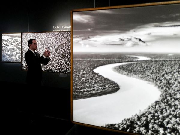 Wow, Fotografer Salgado Pamerkan Foto Langka Hutan Amazon