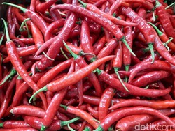 Harga Cabai hingga Bawang di Makassar Merangkak Naik Usai Kenaikan BBM