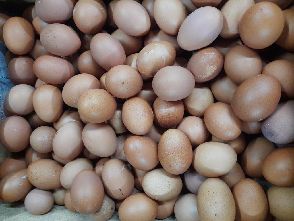 Catat Rek! Harga Minyak Goreng Curah di Surabaya Rp 13.500-Telur Rp 26.250