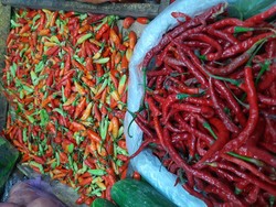 Perhatian Ibu-ibu, Harga Cabai Ada yang Naik Banyak Nih Jadi Rp 50.000/Kg