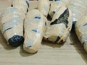 Polresta Deli Serdang Sita 7 Kg Ganja Dari Tangan Kurir