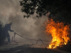 Petugas Kesulitan Atasi Kebakaran Hutan di Yunani Akibat Angin Kencang
