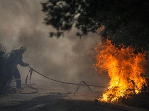 Petugas Kesulitan Atasi Kebakaran Hutan di Yunani Akibat Angin Kencang Petugas Kesulitan Atasi Kebakaran Hutan di Yunani Akibat Angin Kencang