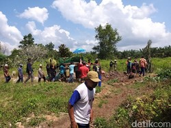 Pemuda di OKI Sumsel Tewas Diinjak Gajah Liar
