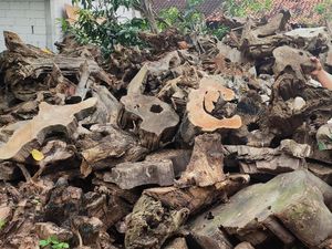 Di Tangan Kusminarto Limbah Jati Jadi Rupiah