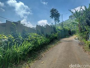 Macan Kumbang di Cicalengka Bandung Sudah Memangsa 22 Ayam Macan Kumbang di Cicalengka Bandung Sudah Memangsa 22 Ayam